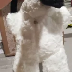 Hanging Tissue Holder Dog Plush - White & Brown photo review