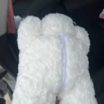 Hanging Tissue Holder Dog Plush - White & Brown photo review