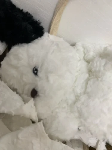 Hanging Tissue Holder Dog Plush - White & Brown photo review