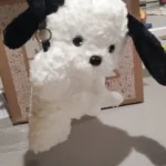 Hanging Tissue Holder Dog Plush - White & Brown photo review