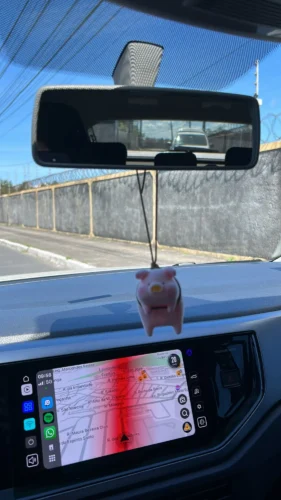 Cool Pig With Glasses Rearview Mirror Pendant photo review