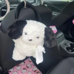 Hanging Tissue Holder Dog Plush - White & Brown photo review