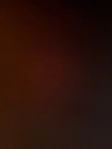 Foam Wax Sponge Applicator Pads (Set of 1&ndash;5) photo review