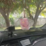 Cool Pig With Glasses Rearview Mirror Pendant photo review