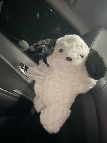 Hanging Tissue Holder Dog Plush - White & Brown photo review